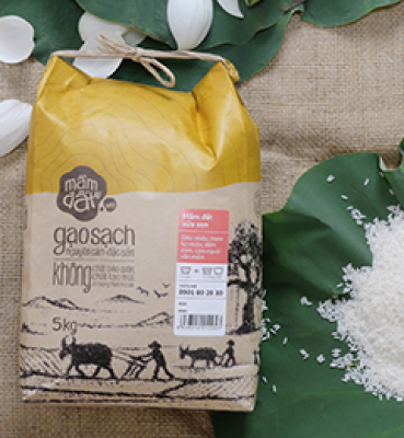 Mầm Đất – Brand Identity