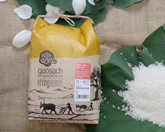 Mầm Đất – Brand Identity